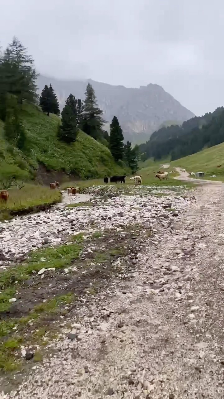 .
#mountains #mtb #stramtb #nature #clouds  #mtblife #mtblove #landscape_lovers #earthpix #landscapelovers #ourplanetdaily #welivetoexplore #fantastic_earth #svizzera #italy #schweiz #fassa #inspiration #passion #motivation #experience #explore #landscapephotography #valdifassa