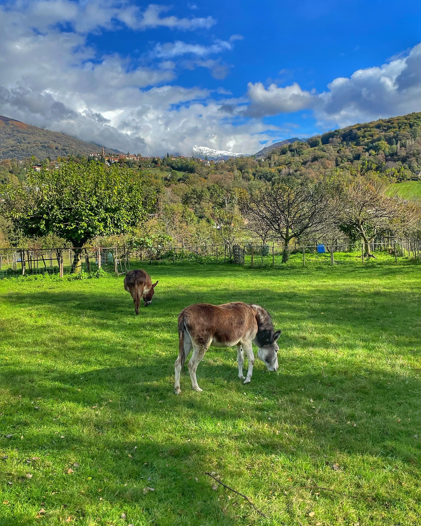 🇨🇭 
#mountains #mtb #stramtb #nature #clouds  #mtblife #mtblove #landscape_lovers #earthpix #landscapelovers #ourplanetdaily #welivetoexplore #fantastic_earth #svizzera #italy #schweiz #fassa #inspiration #passion #motivation #experience #explore #landscapephotography