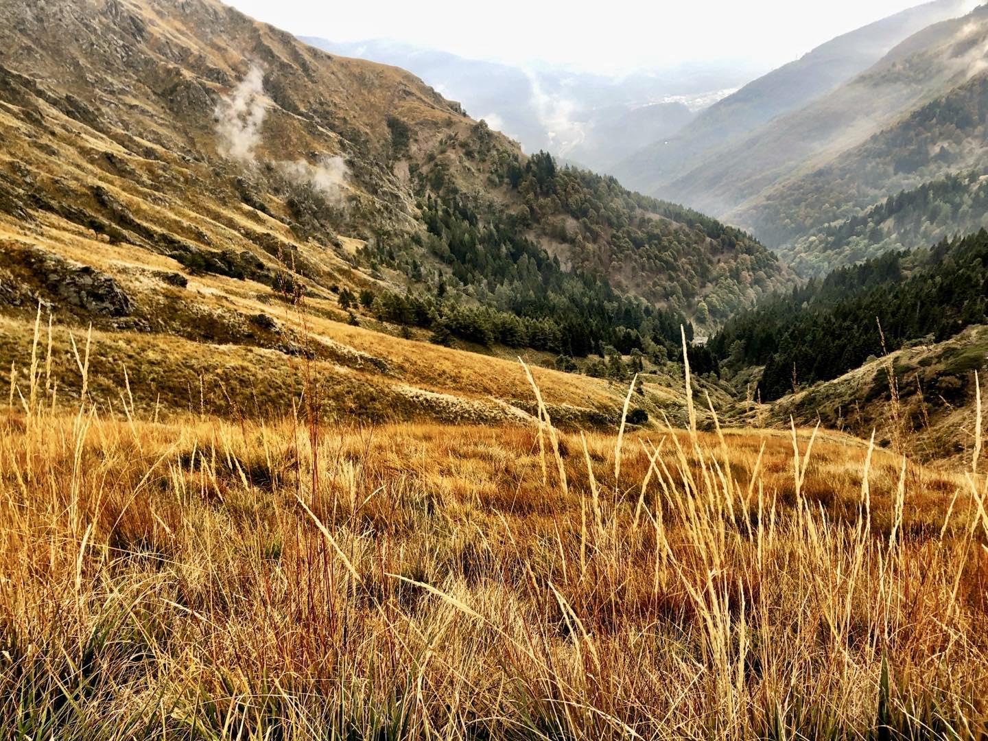 🇨🇭
.
.
.
.
.
#mountains #mtb #stramtb #nature #mtblife #mtblove #landscape_lovers #earthpix #landscapelovers #ourplanetdaily #welivetoexplore #fantastic_earth #svizzera #switzerland #schweiz #ticino #switzerlandpictures #inlovewithswitzerland #ticinomoments #lugano #inspiration #passion #motivation #experience #explore #landscapephotography