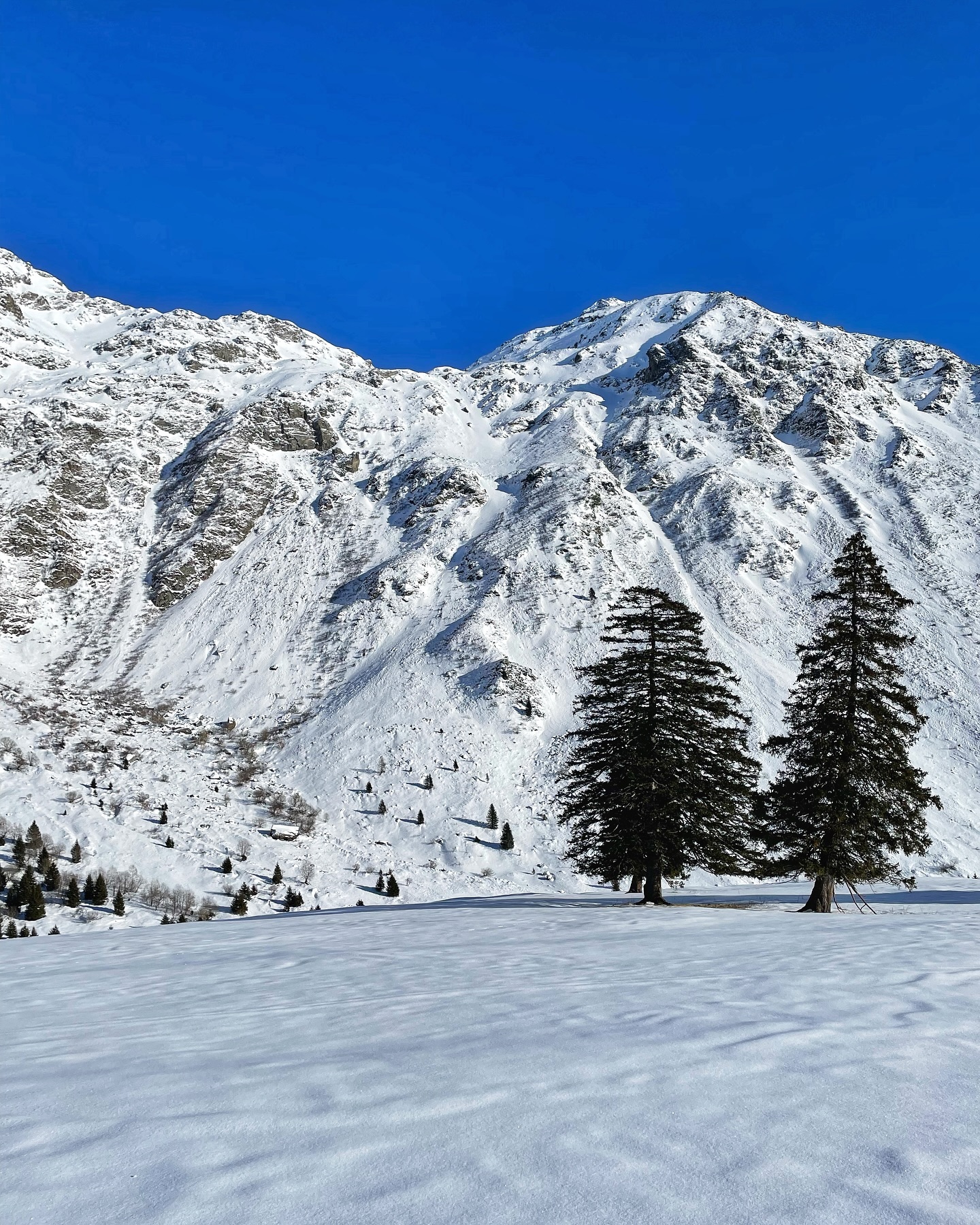 #mountains #snow #ski #snowshoes #snowboard #whitesnow #stramtb #nature #landscape_lovers #earthpix #landscapelovers #ourplanetdaily #welivetoexplore #fantastic_earth #svizzera #switzerland #schweiz #ticino #switzerlandpictures #inlovewithswitzerland #ticinomoments