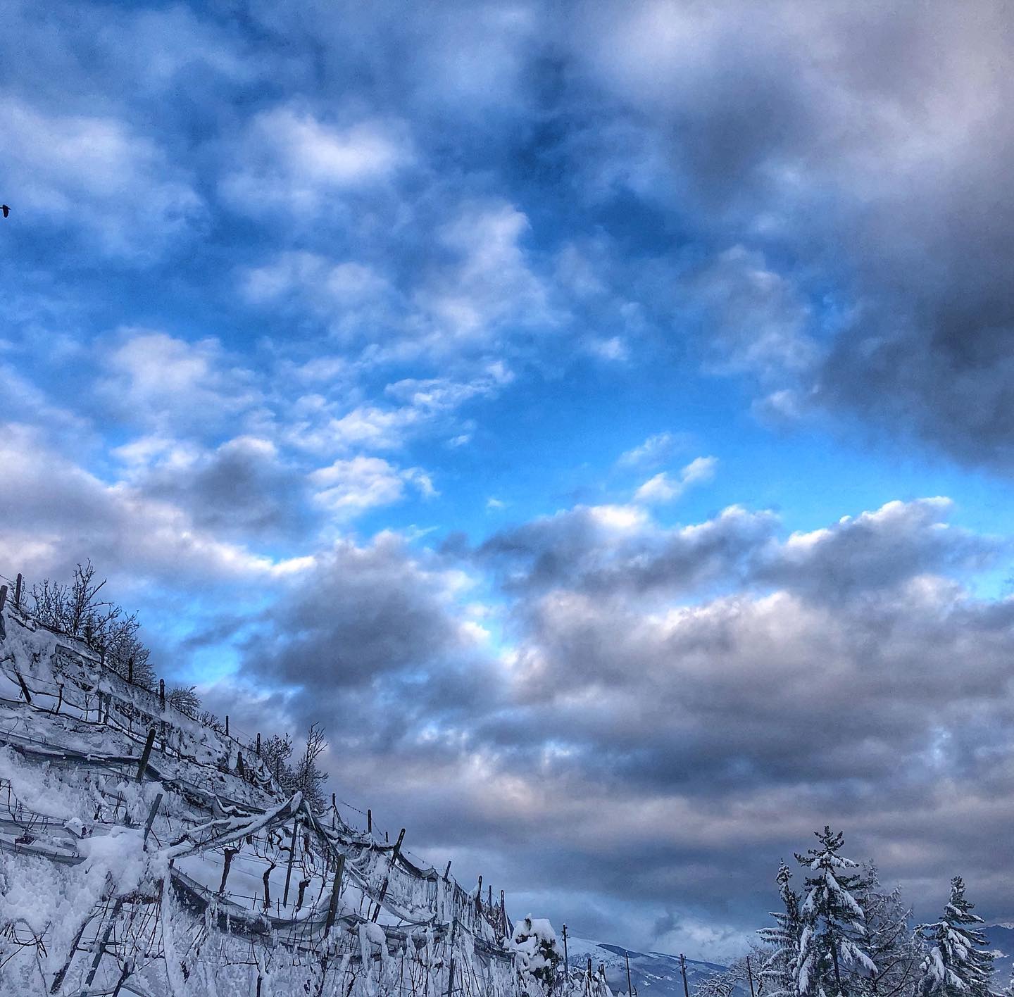 ❄️ 
🇨🇭
.
.
.
.
.
#mountains #mtb #stramtb #nature #mtblife #mtblove #landscape_lovers #earthpix #landscapelovers #ourplanetdaily #welivetoexplore #fantastic_earth #svizzera #switzerland #schweiz #ticino #switzerlandpictures #inlovewithswitzerland #ticinomoments #lugano #inspiration #passion #motivation #experience #explore #snow #landscapephotography