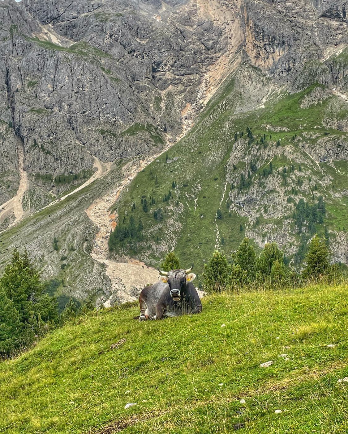 .
#mountains #mtb #stramtb #nature #clouds  #mtblife #mtblove #landscape_lovers #earthpix #landscapelovers #ourplanetdaily #welivetoexplore #fantastic_earth #svizzera #italy #schweiz #fassa #inspiration #passion #motivation #experience #explore #landscapephotography #valdifassa